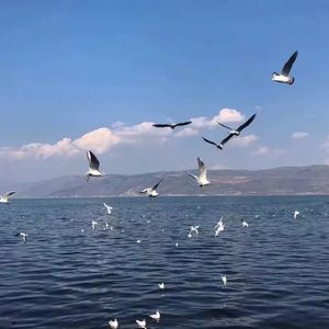 Chinese护士丝榨精
